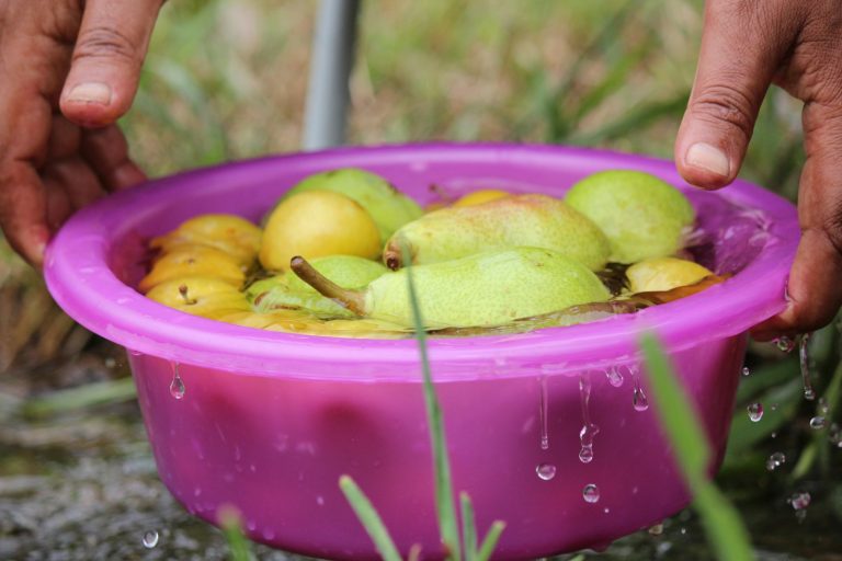 a person holding a purple bowl filled with fruit