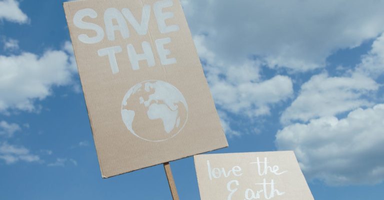 découvrez tout sur l'écologie : protection de l'environnement, biodiversité et actions durables pour préserver notre planète.