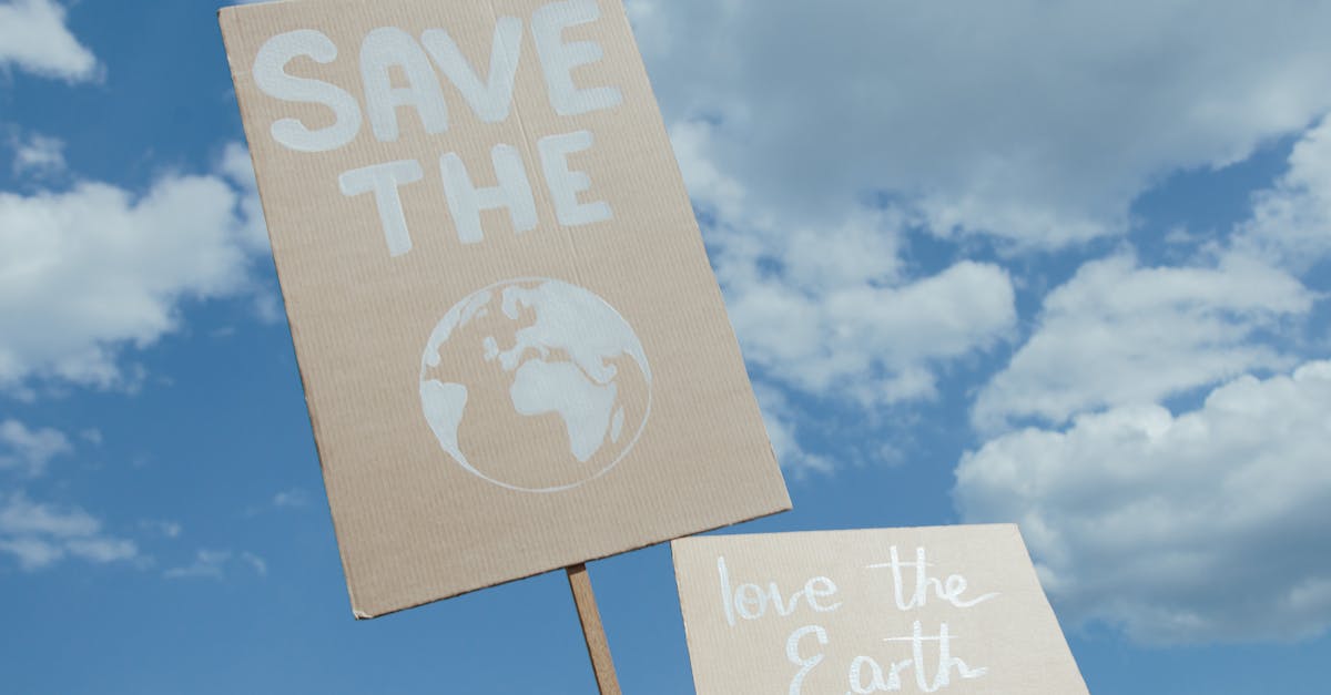 découvrez tout sur l'écologie : protection de l'environnement, biodiversité et actions durables pour préserver notre planète.