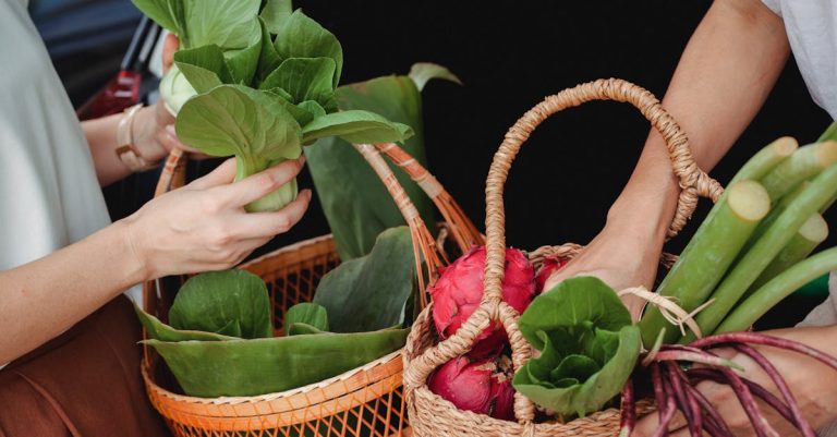 découvrez comment adopter une consommation durable pour préserver les ressources naturelles, réduire votre impact environnemental et promouvoir un mode de vie responsable et éthique.