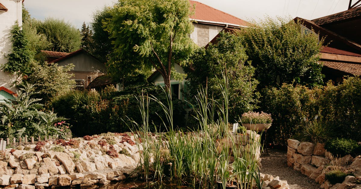 découvrez le jardinage écologique : des pratiques respectueuses de l'environnement pour cultiver un jardin naturel, sain et durable.