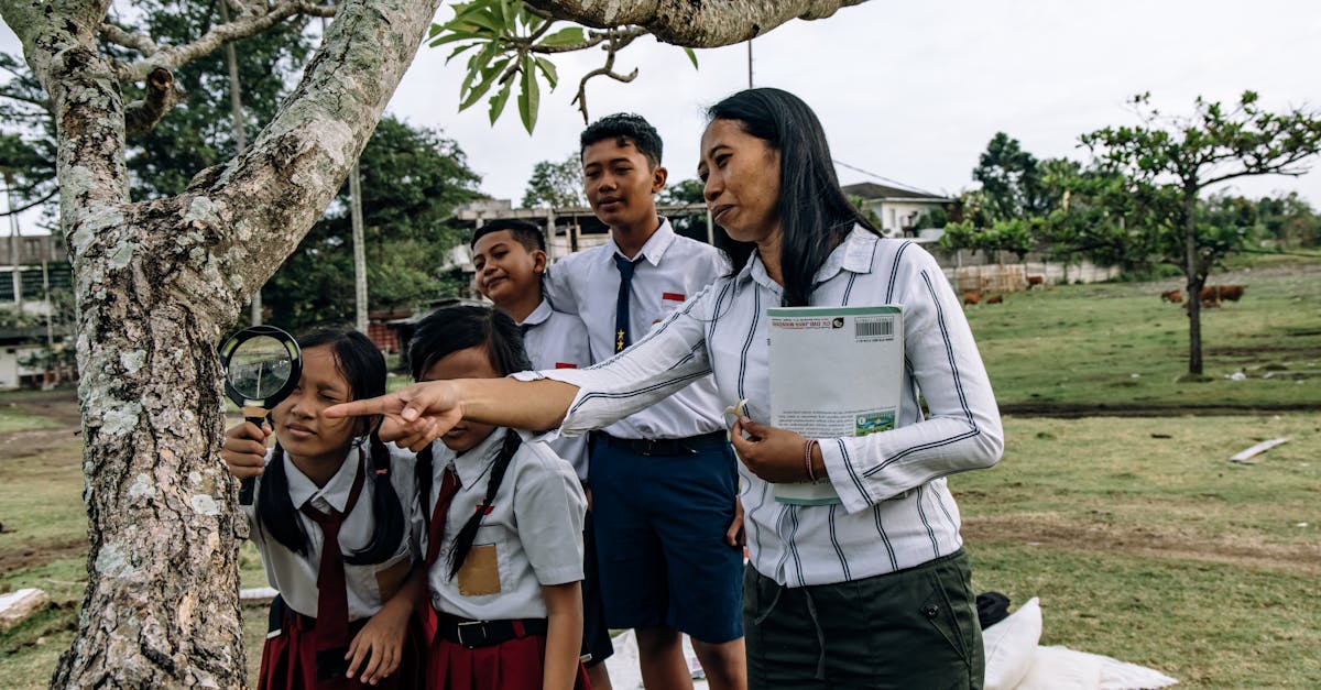 découvrez l'éducation environnementale, un programme dédié à la sensibilisation et à l'apprentissage des enjeux écologiques pour préserver notre planète.