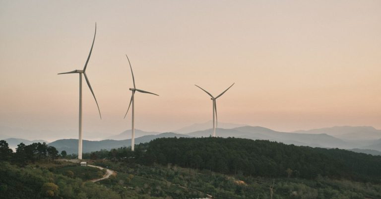 découvrez notre sélection de ressources dédiées à la durabilité pour promouvoir un avenir écologique et responsable.