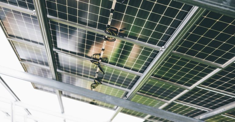 découvrez comment créer un impact durable grâce à des pratiques responsables et innovantes pour un avenir meilleur.