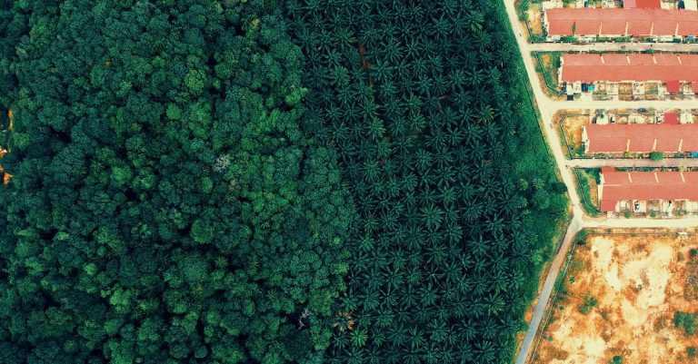 découvrez l'importance de la biodiversité urbaine et comment elle favorise un équilibre écologique essentiel au cœur des villes pour un environnement durable.