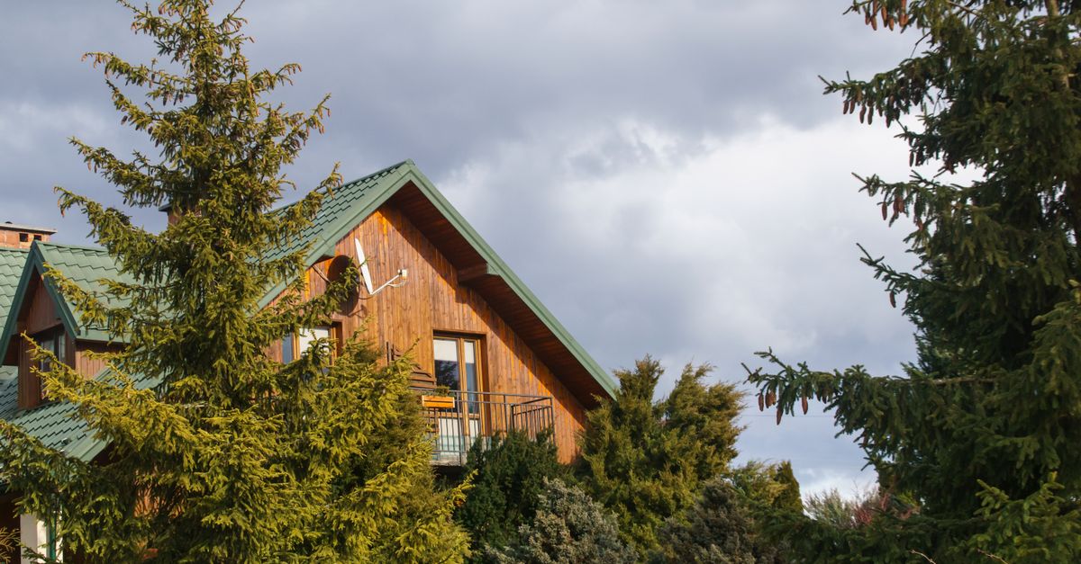 découvrez des conseils et astuces pour créer une maison éco-responsable, alliant confort, économies d'énergie et respect de l'environnement.