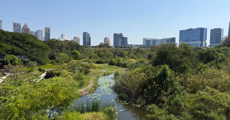 découvrez l'importance de la biodiversité urbaine et comment préserver la faune et la flore dans nos villes pour un environnement plus sain et durable.