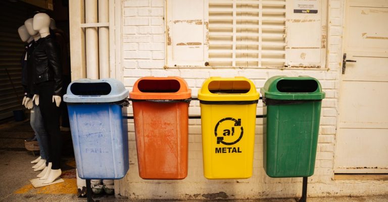 découvrez des pratiques écologiques pour réduire votre impact environnemental et adopter un mode de vie durable au quotidien.