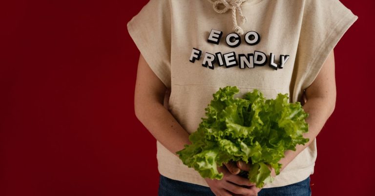 adoptez un mode de vie durable en intégrant des pratiques écologiques au quotidien pour préserver la planète et améliorer votre bien-être.